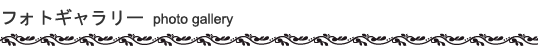 �t�H�g�M�������[ | PHOTO GALLERY